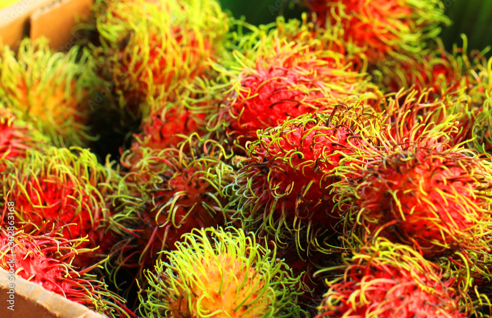rambutan fruit texture rambutan fruit texture