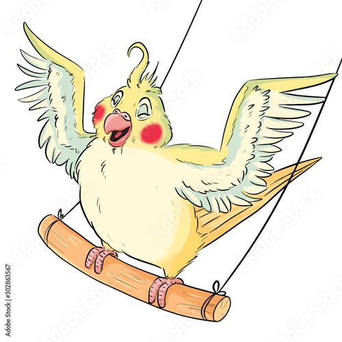 Cute comic style parakeet on swings with wings widely spread. Cartoon budgie on branch, adorable happy bird illustration