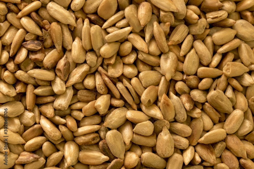 Sunflower seeds fried peeled lots of close up texture Sunflower seeds fried peeled lots of close up texture