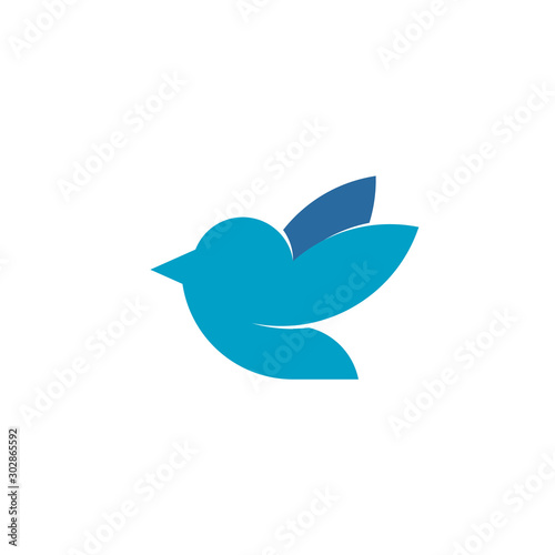 Bird Logo Design Inspiration