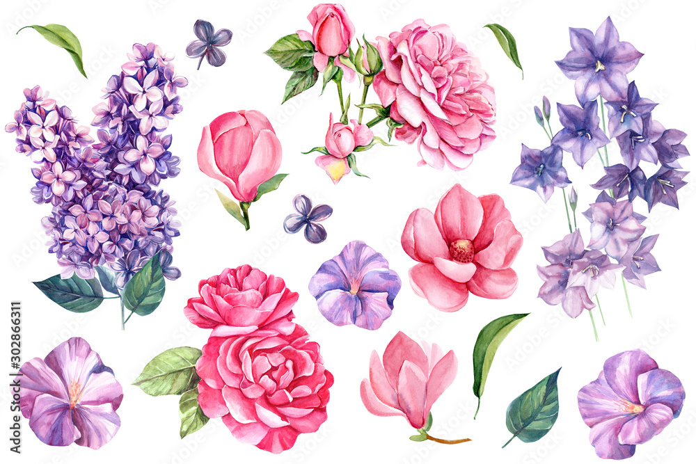 Obraz zestaw elementów letnich kwiatów, uroczystości, bzu, dzwonków, róży i magnolii, akwareli
