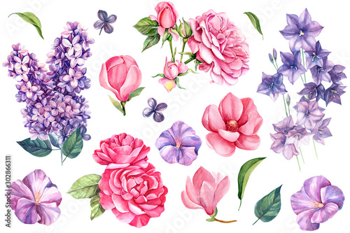 Obraz na płótnie zestaw elementów letnich kwiatów, uroczystości, bzu, dzwonków, róży i magnolii, akwareli