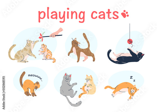 Cute cats playing with each other, toy, thread ball, meowing, sleeping isolated on white background. hand drawn cartoon style. Vector illustration.