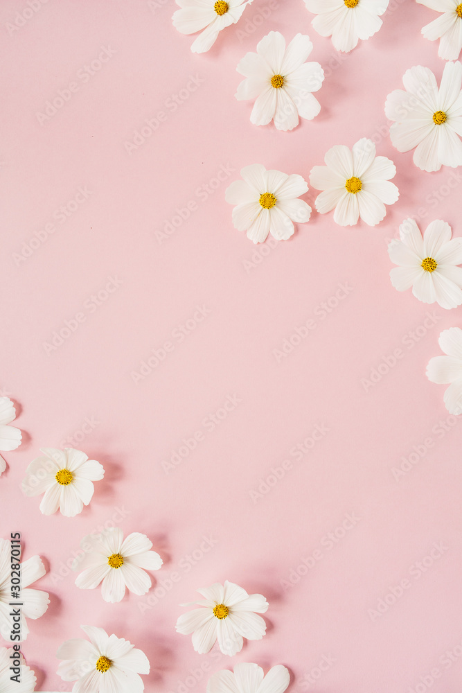 A beautiful white chamomile, daisy flowers on pale pink background. Holiday, wedding, birthday, anniversary concept. Flat lay, top view copy space. Minimal concept. A beautiful white chamomile, daisy flowers on pale pink background. Holiday, wedding, birthday, anniversary concept. Flat lay, top view copy space. Minimal concept.