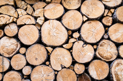 pile of wood put to dry for the winter season