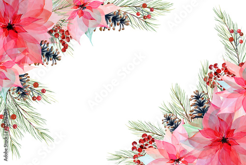Watercolor Christmas wreath with poinsettia floral decor. Hand painted traditional flower and p fir branch isolated on white background. Holiday print