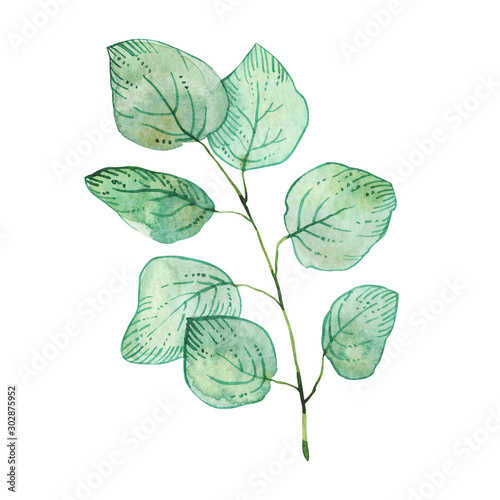 Watercolor green leaves. handpainted illustration, isolated on white background. trendy greenery, foliage, design for invitation, greeting card, prints, wallpaper