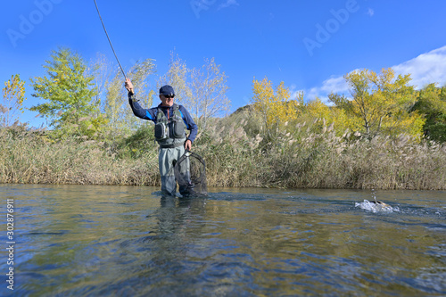 taking a big brown trout in the fly