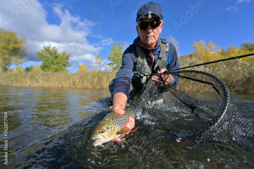 taking a big brown trout in the fly