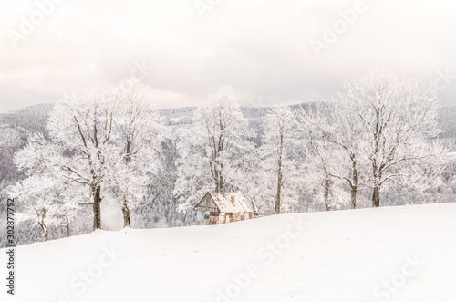 Small shepherd house on the winter time
