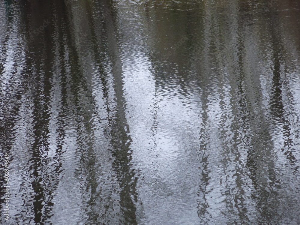 pond shore in autumn with reflection of trees in cold water