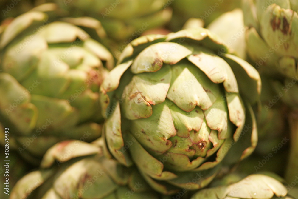 Fototapeta premium artichaud