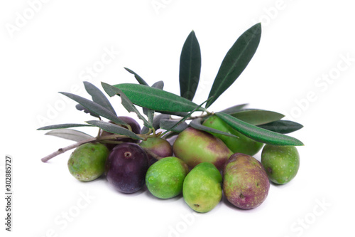 Wallpaper Mural olives with leaves isolated on white Torontodigital.ca