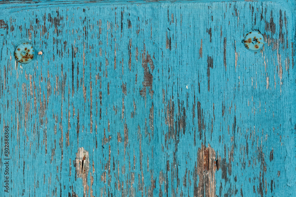 Obraz premium Old wooden surface with peeling paint. Blue grunge background with scratches and nails