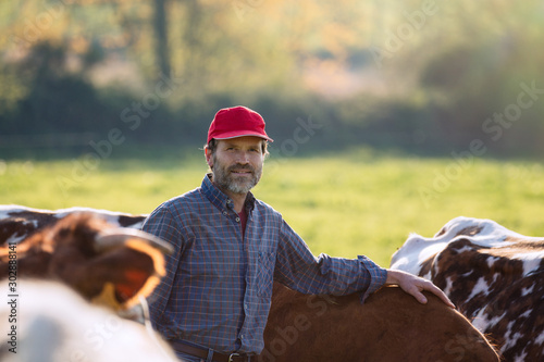 Canvas Print Farmer in his field caring for his herd of cows