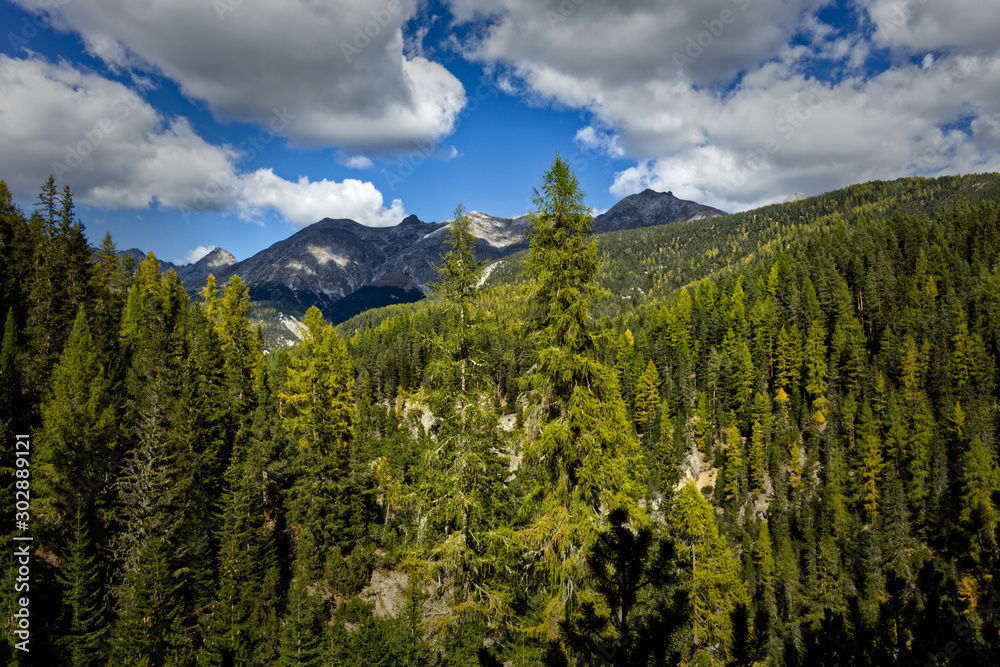 Mountains with forest in the Swiss National Park Mountains with forest in the Swiss National Park