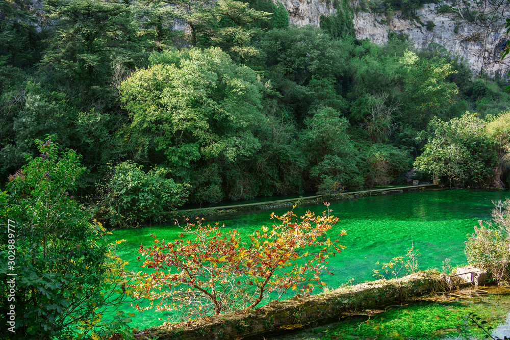 Vue sur la rivière Sorgue, Provence, France, village Fontaine de Vaucluse.