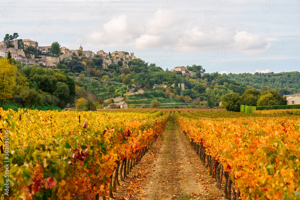 Vue panoramique sur le village Menerbes, en automne, Provence, France. Au premier plan les vignobles, colorés en jaune, rouge, orange. 