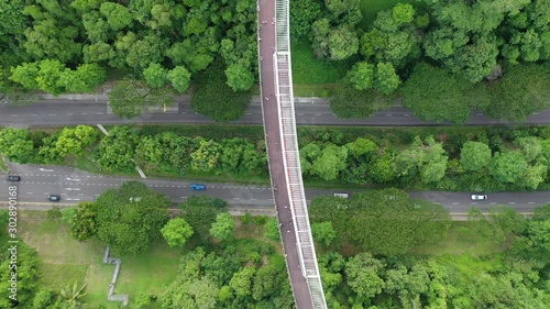 Drone footage over the Henderson Waves in Singapore photo