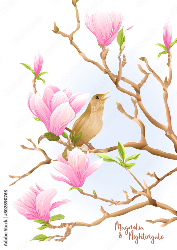 Magnolia tree branch with flowers and nightingale Template for wedding ...
