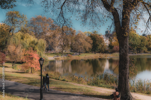 autumn in the park