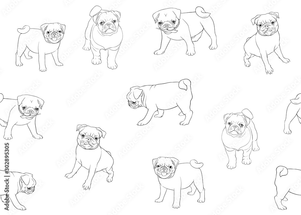 Seamless pattern, background with pug dogs. Colored vector illustration. Isolated on white background.