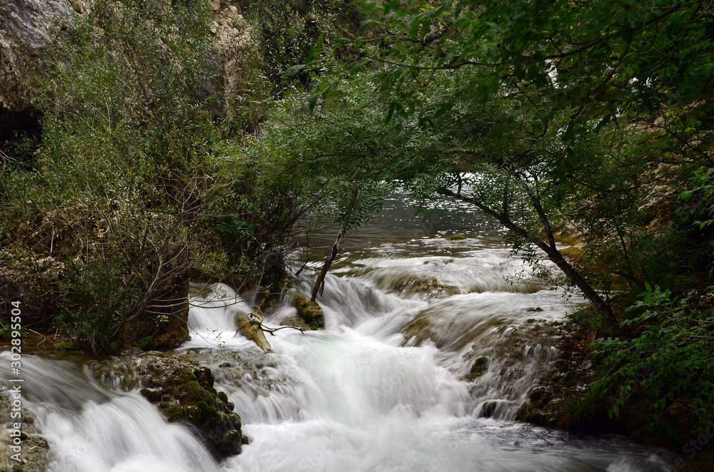 Water flow of the Canyon. Forest and mountain landscapes. Crimea,Russia