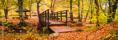 Obraz na plátně Small wooden bridge on river Grza in Serbia at autumn