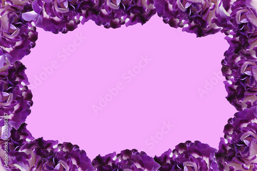 frame of purple flowers on a pink background