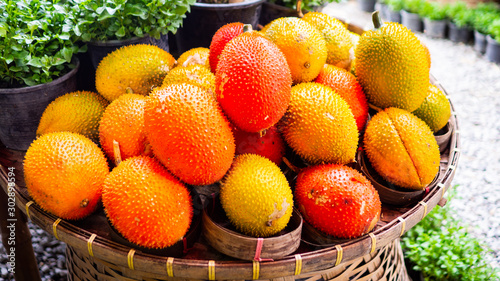 Momordica  cochinchinensis (Lour.)  Spreng, Many orange fruits placed in a basket. photo