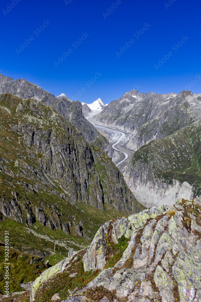 Swiss Aletsch Glacier in summer