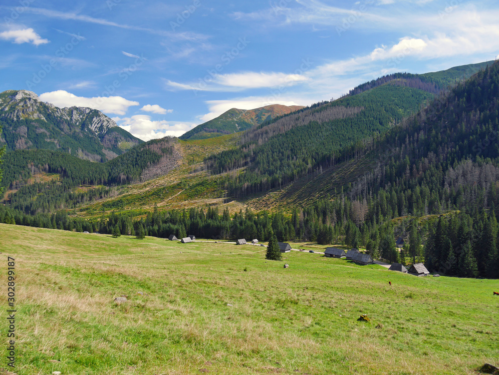 landscape in the mountains nature valley landscape in the mountains nature valley