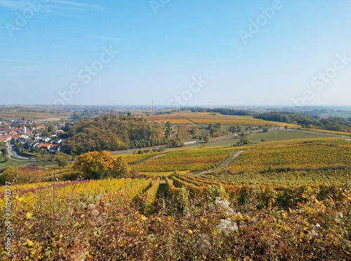 Fantastischer Blick auf die herbstlichen Weinberge in Rheinland-Pfalz
