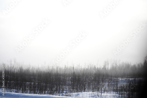 Fototapeta Naklejka Na Ścianę i Meble -  Winter landscape of country fields and roads