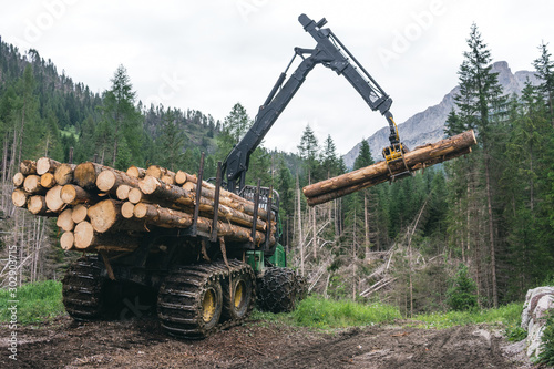 Forest log truck tree harvester working woodcutter  industry cut wood. the consequences of the weather  a windbreak in the mountains  damage to nature and the national park  Alpine Austria  Italy.