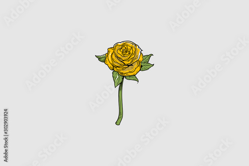 Single beautiful red rose vector template