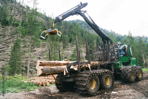 Forest log truck tree harvester working woodcutter, industry cut wood. the consequences of the weather, a windbreak in the mountains, damage to nature and the national park, Alpine Austria, Italy.