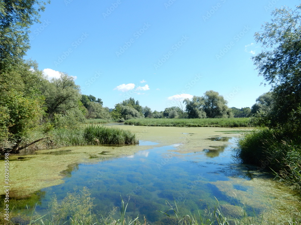 Obraz premium Naturschutzgebiet