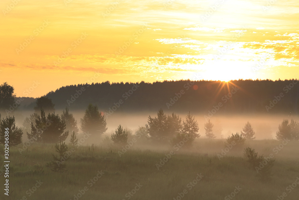 Obraz premium fog in the field at sunrise