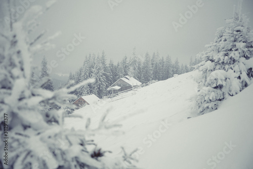 Beautiful winter mountain landscape. Cabin in the mountains in winter. Winter landscape with fresh snow in a mountain forest. © Ivanna Pavliuk