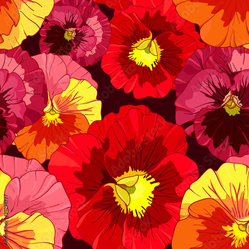 Bright red and orange flowers of pansy on burgundy background. Seamless vector pattern. Hand drawing illustration.