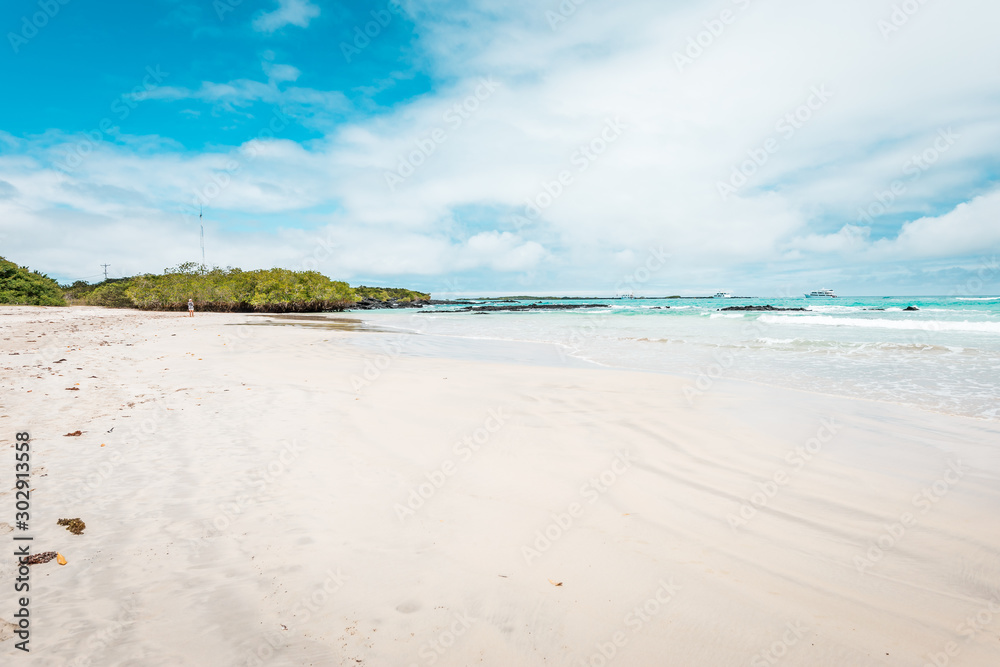 Galapagos Islands Dream beach on the island of Isabela with turquoise-blue waters and Caribbean sand beach which is fringed with palm trees and black lava rocks, in the travel destination of Ecuador