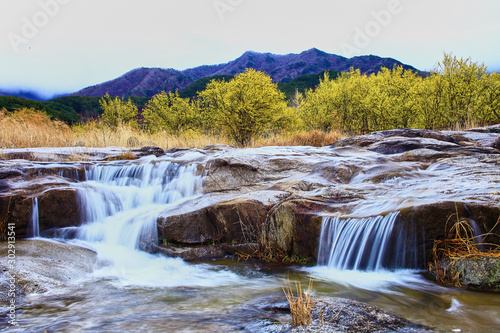 산수유와 작은폭포