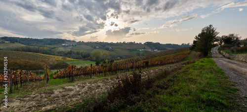 Panoramica scattata alle vigne nelle colline di Tassarolo (AL)
