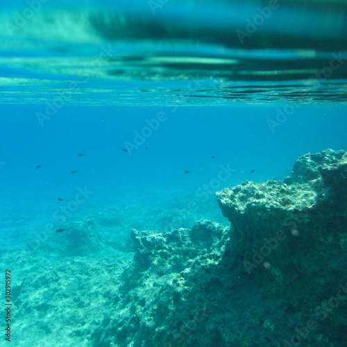 Greece Underwater Life