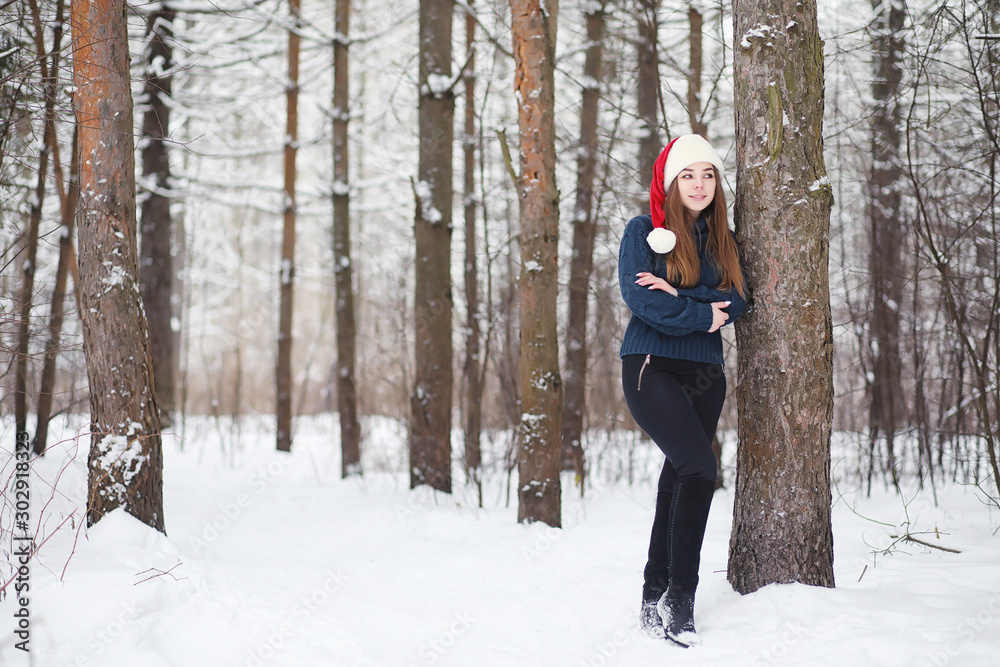 A young girl in a winter park on a walk. Christmas holidays in the winter forest. The girl enjoys winter in the park. A young girl in a winter park on a walk. Christmas holidays in the winter forest. The girl enjoys winter in the park.
