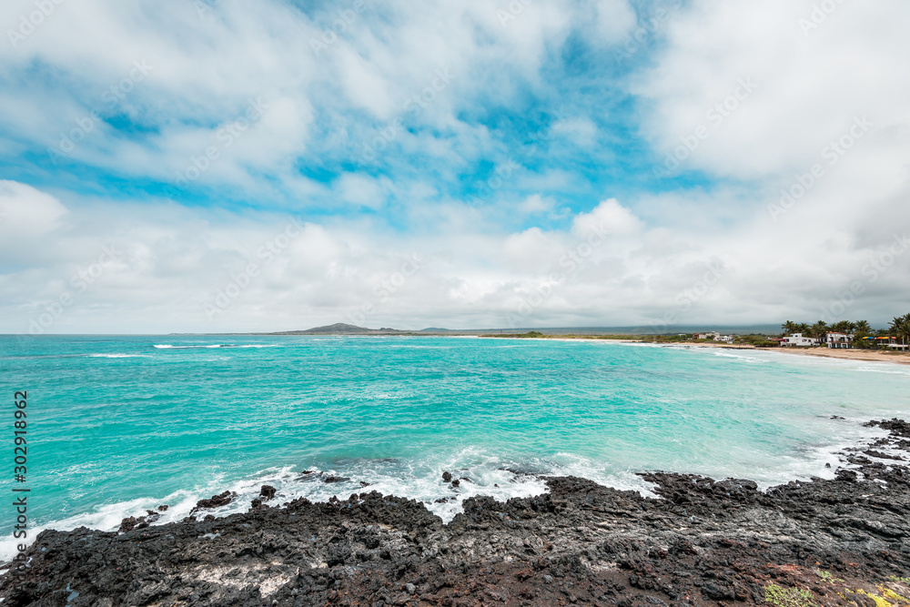 Galapagos Islands Dream beach on the island of Isabela with turquoise-blue waters and Caribbean sand beach which is fringed with palm trees and black lava rocks, in the travel destination of Ecuador