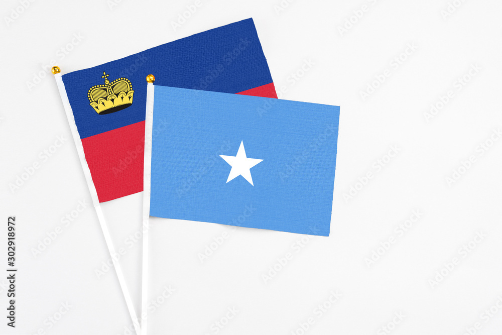 Somalia and Liechtenstein stick flags on white background. High quality fabric, miniature national flag. Peaceful global concept.White floor for copy space. Somalia and Liechtenstein stick flags on white background. High quality fabric, miniature national flag. Peaceful global concept.White floor for copy space.