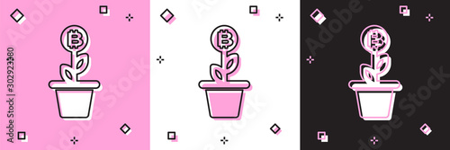Set Bitcoin plant in the pot icon isolated on pink and white, black background. Business investment growth concept. Blockchain technology, cryptocurrency mining. Vector Illustration
