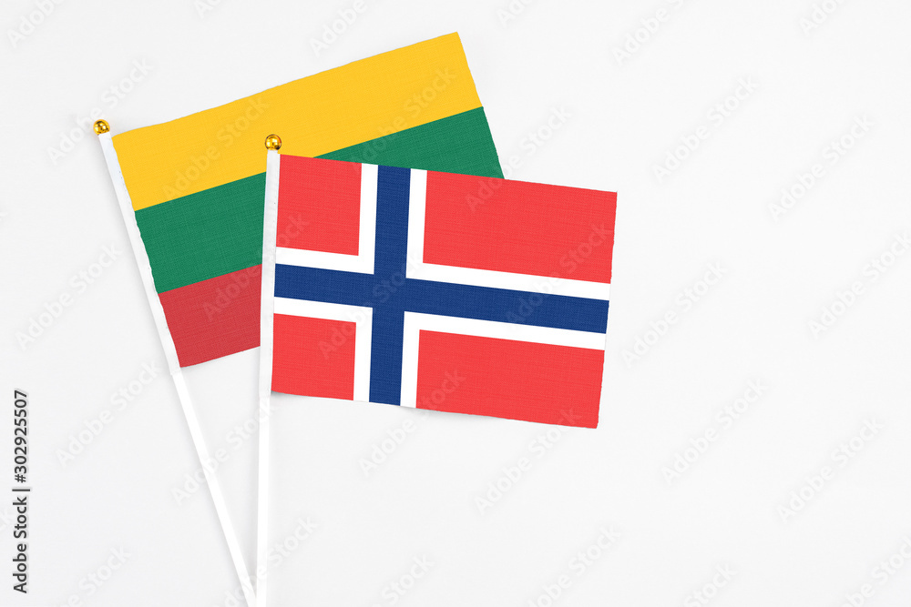 Norway and Lithuania stick flags on white background. High quality fabric, miniature national flag. Peaceful global concept.White floor for copy space.